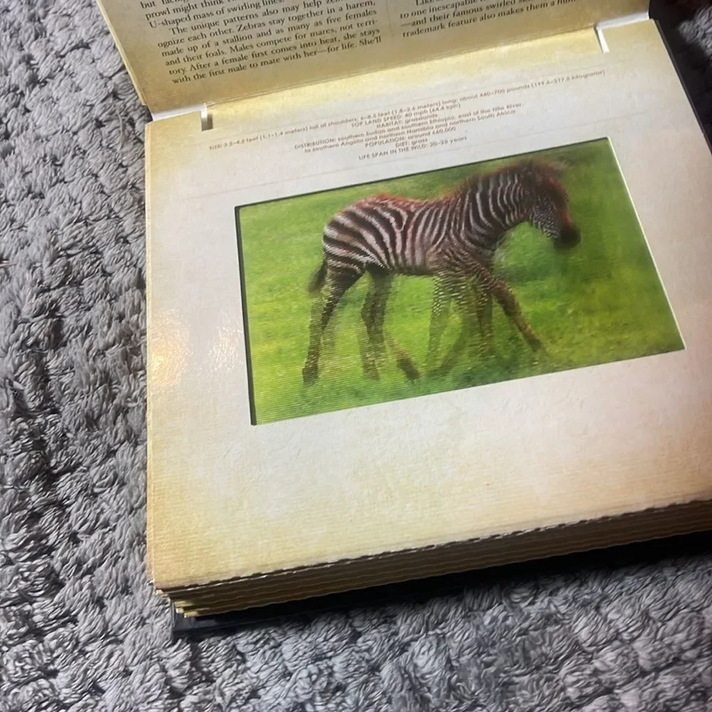 Safari a photicular  book created by Dan Canaan